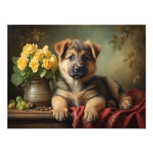 Schattige Duits Shepard Puppy Hondenportret Foto Afdruk (Voorkant)