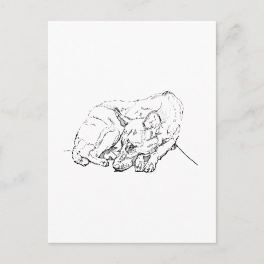 Schattige Duitse Herder Persoonlijk Briefkaart (Voorkant)
