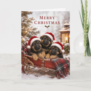 Schattige Duitse Herdershond Puppies Prettig Kerst Kaart
