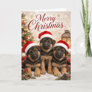 Schattige Duitse Herdershond Puppies Prettig Kerst Kaart