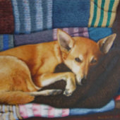 schattige duitse herderslachterij legpuzzel