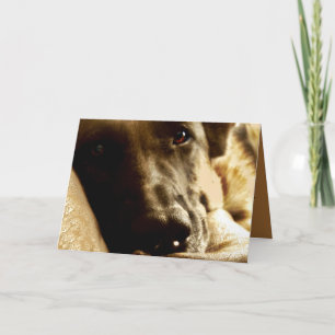 Schattige Duitse Valentijnsdag Shepherd Card Feestdagen Kaart