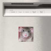 Schattige Dumbo Rat Magneet (Insitu (Vaatwasser))