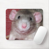 Schattige Dumbo Rat Muismat (Met muis)