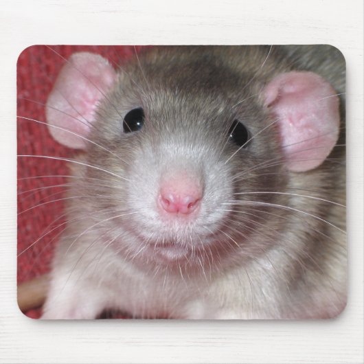 Schattige Dumbo Rat Muismat (Voorkant)