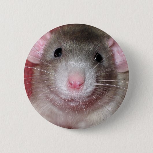Schattige Dumbo Rat Ronde Button 5,7 Cm (Voorkant)