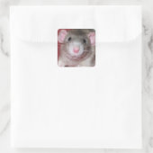 Schattige Dumbo Rat Vierkante Sticker (Tas)