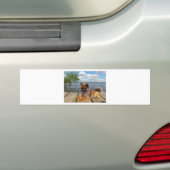 Schattige dwerghond bumpersticker (Op auto)