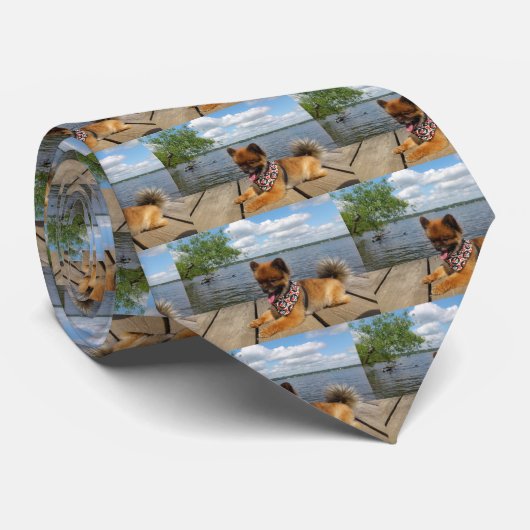 Schattige dwerghond stropdas (Opgerold)