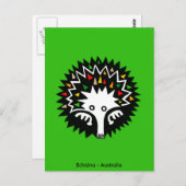 Schattige ECHIDNA - Aussie wildlife - Natuur Briefkaart (Voorkant / Achterkant)