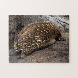 Schattige Echidna Australië, Childrens 252 stuks Legpuzzel