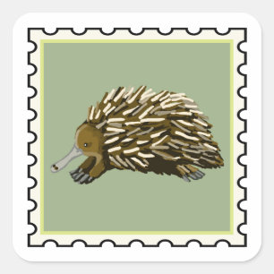 Schattige echidna Australische postzegel kunst Vierkante Sticker