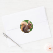 Schattige eekhoorn Afbeelding Ronde Sticker (Envelop)