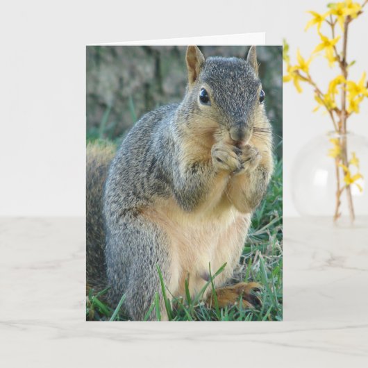 Schattige eekhoorn Alle oevers Wenskaart Kaart (Gele Bloem)