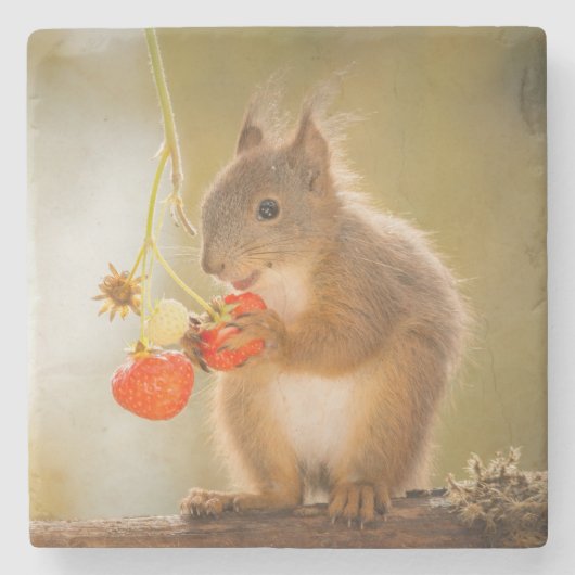Schattige eekhoorn Een heldere rode aardbei eten Stenen Onderzetter (Voorkant)