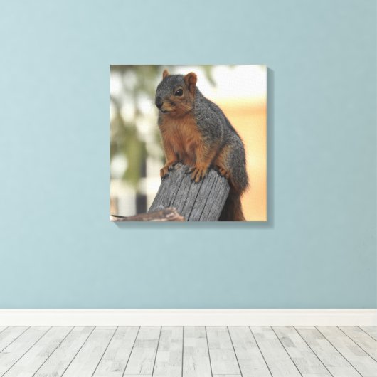 Schattige eekhoorn foto canvas afdruk (Insitu (Houten vloer))