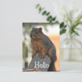 Schattige eekhoorn foto HALLO | Briefkaart (Staand voorkant)