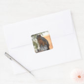 Schattige eekhoorn foto HALLO | Vierkante Sticker (Envelop)