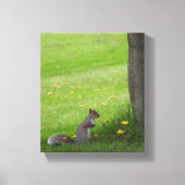 Schattige eekhoorn in de gras canvas afdruk (Voorkant)