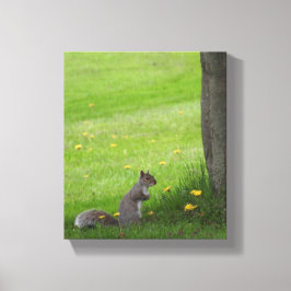 Schattige eekhoorn in de gras canvas afdruk