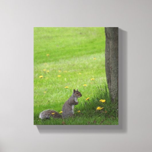 Schattige eekhoorn in de gras canvas afdruk (Voorkant)