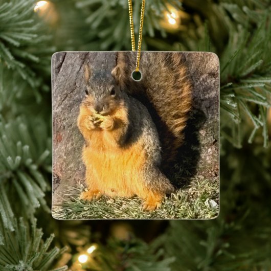 Schattige eekhoorn keramisch ornament (Boom)