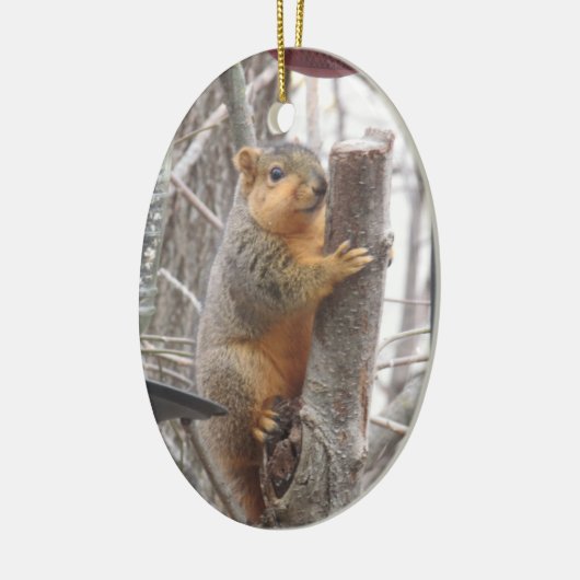 Schattige eekhoorn kerstfoto keramisch ornament (Links)