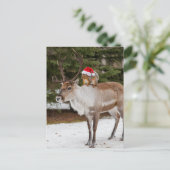 Schattige Eekhoorn Kerstman en het rendier Kerstmi Briefkaart (Staand voorkant)