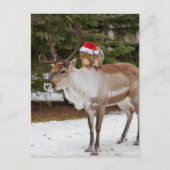 Schattige Eekhoorn Kerstman en het rendier Kerstmi Briefkaart (Voorkant)