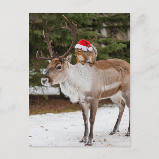 Schattige Eekhoorn Kerstman en het rendier Kerstmi Briefkaart (Voorkant)