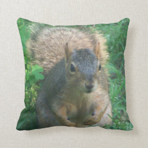 Schattige eekhoorn kussen