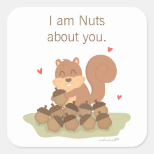 Schattige Eekhoorn Noten Over Jou Grappige Liefde  Vierkante Sticker