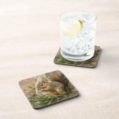 Schattige eekhoorn Onderzetter instellen (Rechterzijde)