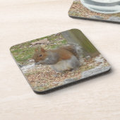 Schattige Eekhoorn Onderzetter Set. (Linkerzijde)