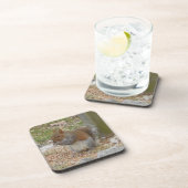 Schattige Eekhoorn Onderzetter Set. (Rechterzijde)