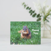 Schattige Eekhoorn Pinda Foto Bedankt Briefkaart (Staand voorkant)