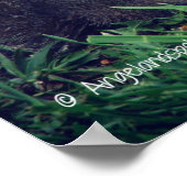 Schattige eekhoorn poster (Hoek)