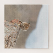 Schattige eekhoorn puzzel (Horizontaal)