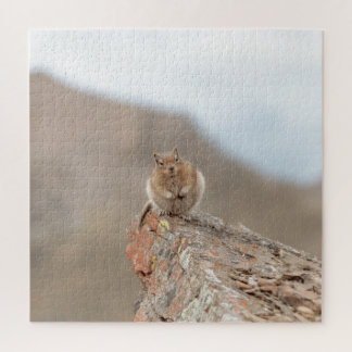 Schattige eekhoorn puzzel