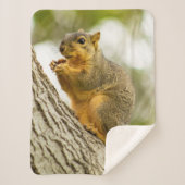 Schattige eekhoorn sherpa deken (Voorkant)