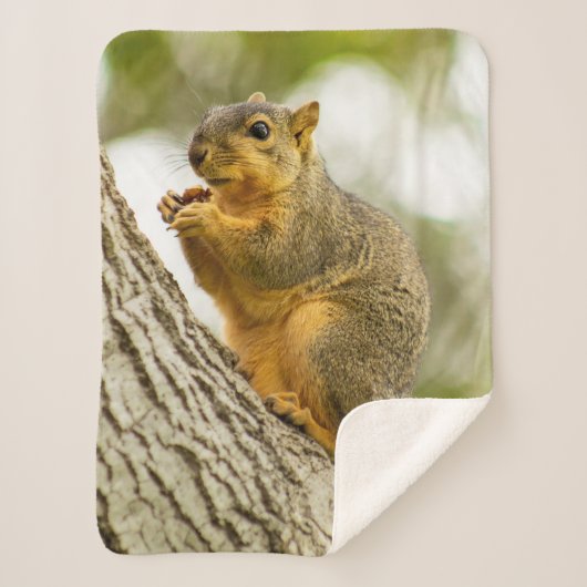 Schattige eekhoorn sherpa deken (Voorkant)