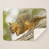 Schattige eekhoorn sherpa deken (Voorkant (horizontaal))