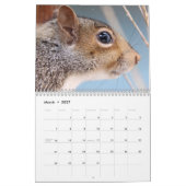 Schattige Eekhoorns 2027 Kalender (Mar 2027)