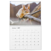 Schattige Eekhoorns 2027 Kalender (Jan 2027)