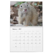 Schattige Eekhoorns 2027 Kalender (Feb 2027)