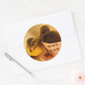Schattige eenden zeggen kwakzalver ronde sticker (Envelop)