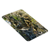 Schattige eendjes magneet (Rechterzijde)