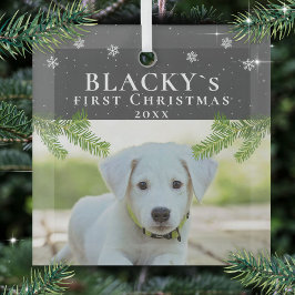 Schattige Eerste Kerst Puppy Hond Foto Dennenhout Glas Ornament
