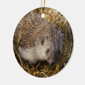 Schattige egel in een stubelveld keramisch ornament (Links)