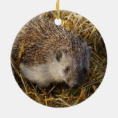 Schattige egel in een stubelveld keramisch ornament (Achterkant)